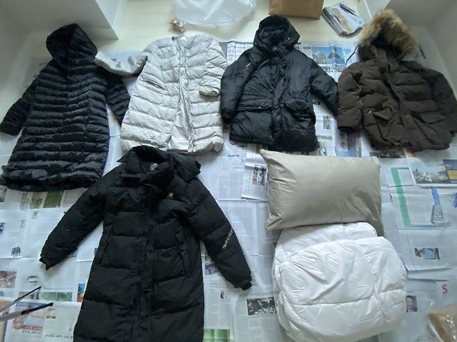 독자들이 보내준 오리털, 거위털 패딩과 오리털 침구들. 버릴 패딩이 있다면 보내달라고 했었다. 감사합니다. 원래 다 분해하려 했는데, 도저히 감당이 안 돼 자제했다. /사진=남형도 기자