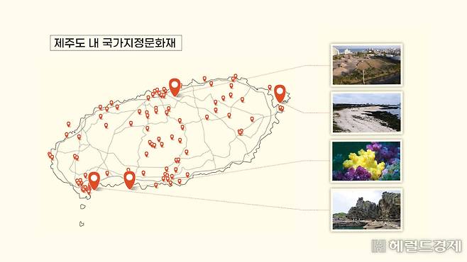 제주도 내 국가지정문화재들과 저지대에 위치한 문화재들. (위쪽부터) 사적 416호 삼양동 유적, 천연기념물 438호 홍조단괴해빈, 천연기념물 442호 제주연안 연산호군락, 천연기념물 526호 용머리해안. [허연주, 변정하 디자이너, 연합뉴스]