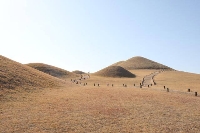 송학동고분군은 고운 곡선 덕분에 최근 인생사진 명소로 알려지고 있다. ⓒ박준규