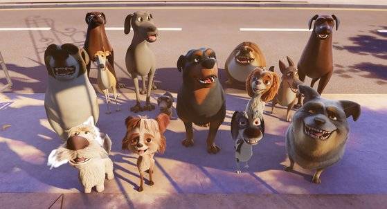 100% 울프: 푸들이 될 순 없어