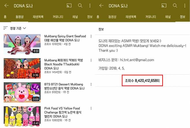 유튜브 채널 ‘DONA 도나’가 14일 누적 조회수 84억 2000만 회를 달성했다. [유튜브 ‘DONA 도나’ 채널 캡처]
