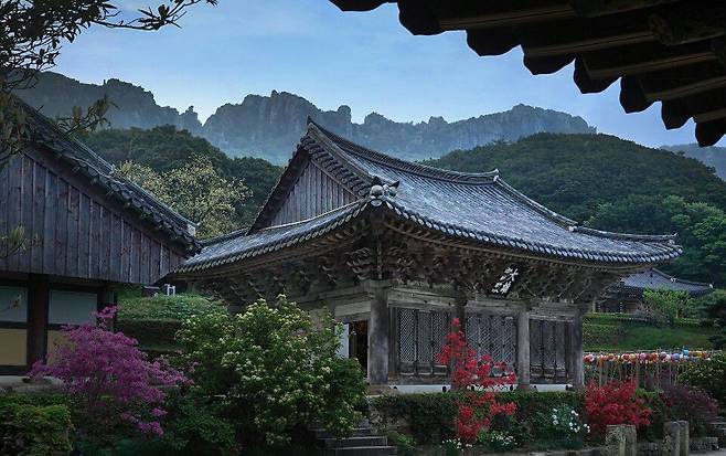 달마산이 뒤로 병풍처럼 펼쳐진 미황사 전경. 미황사 홈페이지엔 '세속과 멀리 떨어진 땅끝마을, 모든 고통으로 멀어지는 자유로운 발걸음의 시작'이라고 적혀 있다. /미황사