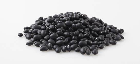 콩에는 필수 아미노산과 단백질이 풍부해 근육 감소를 막는 데 도움이 된다./사진=클립아트코리아