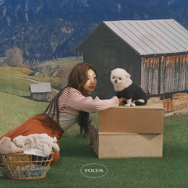 23일(수), 다희 싱글 앨범 'FOCUS' 발매 | 인스티즈