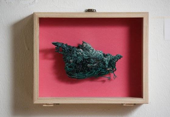 2019년 제주도에서 발견한 '뉴락.' 낚시줄이 녹아 '뉴모픽 락'이 됐다. 우상조 기자