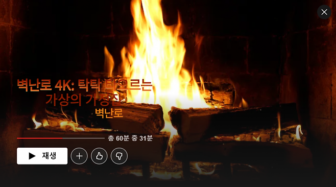 /사진=넷플릭스