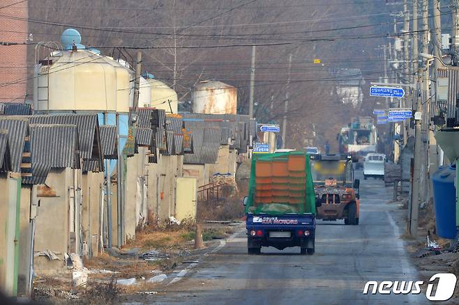 H5N8형 고병원성 조류인플루엔자(AI) 항원이 검출된 경북 경주시 천북면 신당리 희망농원에서 27일 용역직원들이 살처분 준비를 하고 있다. 희망농원 내에는 14개 농장에서 산란계 16만1000마리가 사육 중이며, 반경 3km 이내 1개 농장 4만700마리를 포함한 20만8000마리를 살처분할 예정이다.2020.12.27/뉴스1 © News1 최창호 기자