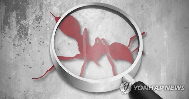 붉은불개미 (PG) [제작 최자윤] 일러스트