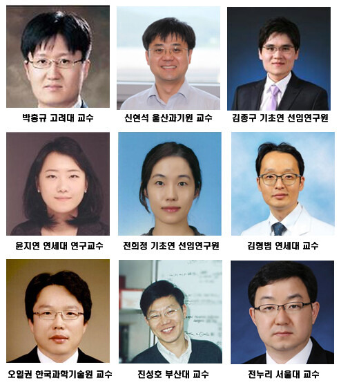 2020년 ‘올해의 기초연구자’로 선정된 연구자들. 과기정통부 제공