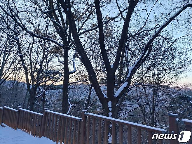 1일 대전 계족산에 눈이 쌓여있다.© 뉴스1