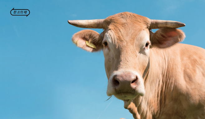 게티이미지뱅크 제공