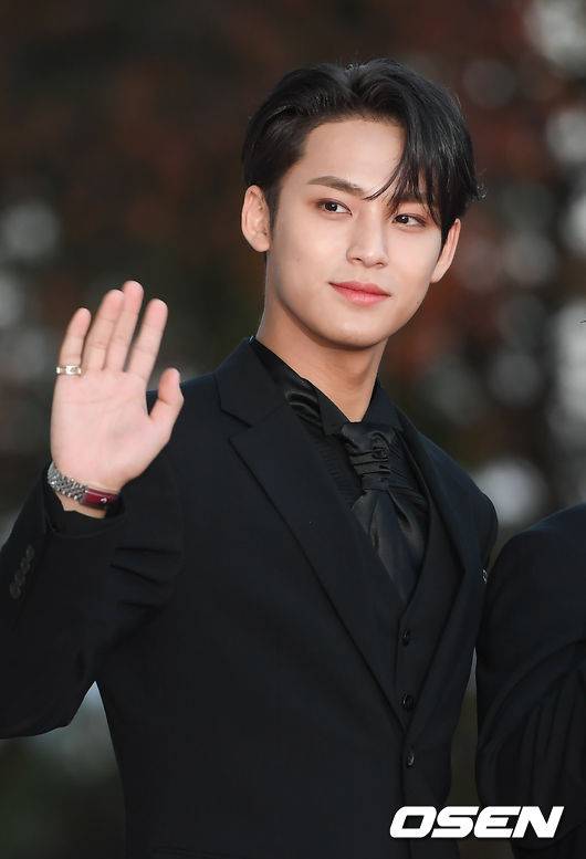 [OSEN=박준형 기자] 29일 서울 회기동 경희대학교 평화의 전당에서 제 11회 대한민국 대중문화예술상 시상식이 진행됐다.세븐틴 민규가 레드카펫을 밟고 있다. / soul1014@osen.co.kr