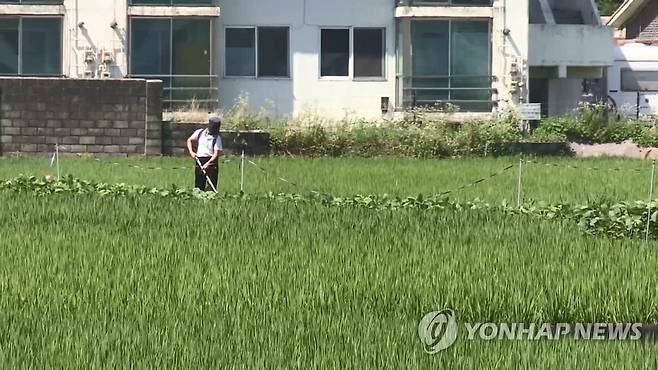 농사 [연합뉴스TV 제공]