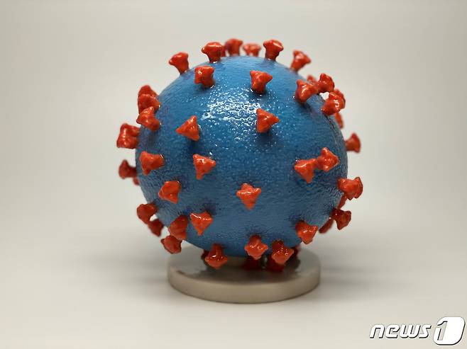 코로나19 바이러스 모형. © 로이터=뉴스1