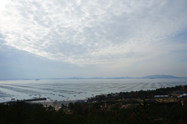 천사섬 분재공원에서는 드넓게 펼쳐진 신안 바다와 김 양식장이 한눈에 보인다.