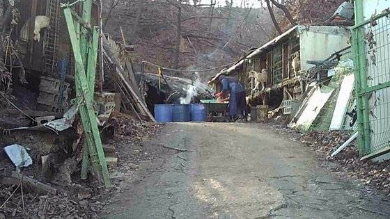 3기 신도시로 지정된 남양주시 왕숙지구에 불법 건축된 개농장의 모습. 세이브코리안독스 제공