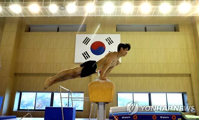 안마 훈련하는 양학선 작년 11월 10일 충북 진천선수촌에서 열린 국가대표 선수 훈련 공개행사에서 남자체조 양학선이 안마 훈련을 하고 있다. [연합뉴스 자료사진]