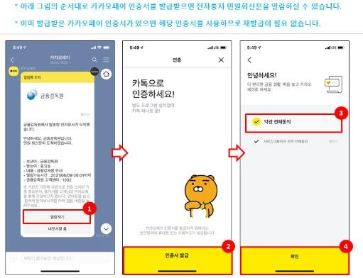 카카오페이 인증 설명화면 [금감원 제공]