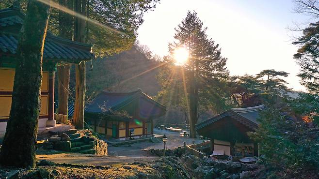 임실 성수산의 청정생태 한복판에 놓인 상이암에 2021년 신축년 희망의 아침햇살이 찾아들고 있다.