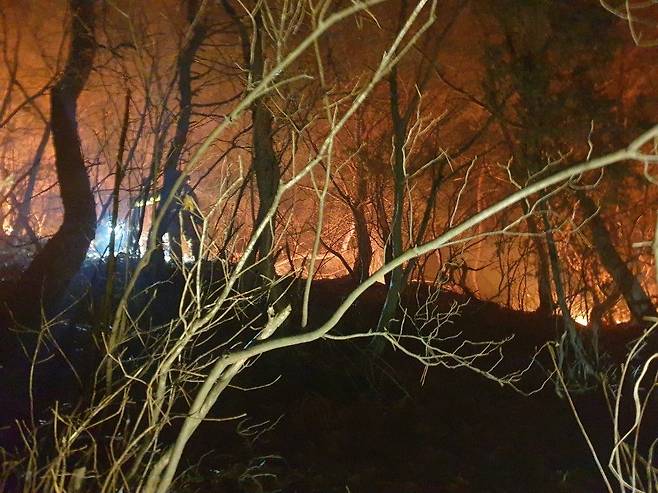 5일 밤 8시께 경기도 의정부시 장암동 수락산에 산불이 발생해 긴급 출동한 관계자들이 불을 끄고 있다. 산림청은 이날 산불을 끄기 위해 인력 89명을 긴급 투입, 약 2시간여만인 5일 21시 53분경 주불 진화를 완료했다고 밝혔다.[연합]