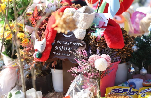 6일 오전 경기 양평 하이패밀리 안데르센 공원묘지에 안장된 정인 양의 묘지에 추모객들이 놓고 간 편지와 선물이 놓여 있다.  /연합뉴스