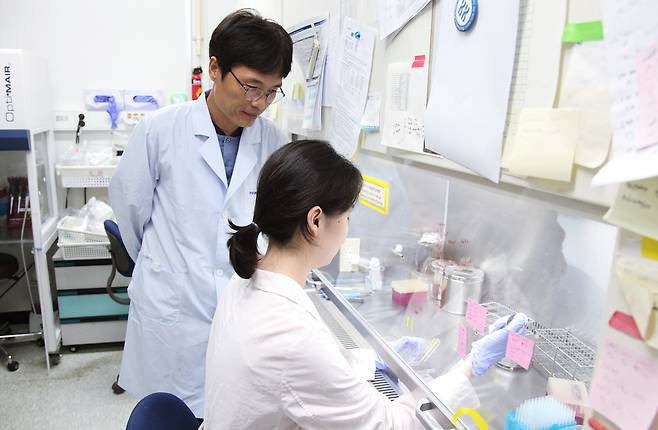 김용삼(왼쪽) 박사 연구진이 유전자가위 기술을 활용한 연구를 수행하고 있다.[한국생명공학연구원 제공]