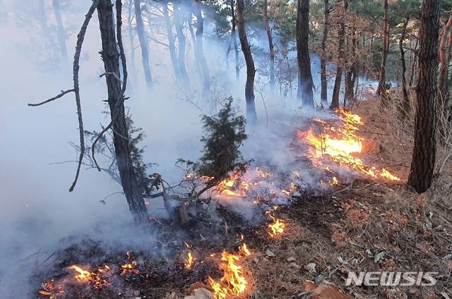[영덕=뉴시스] 김진호 기자 = 6일 오전 6시 13분께 경북 영덕군 창수면 오촌리 야산에서 산불이 발생해 임야를 태우고 있다. (사진=영덕군 제공) 2020.01.06 photo@newsis.com