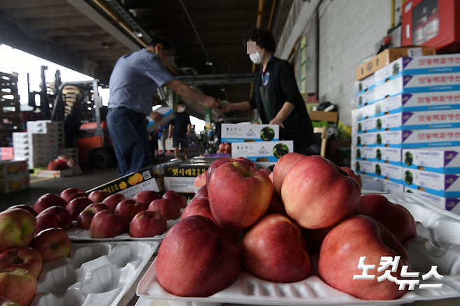 12일 서울 송파구 가락농수산물시장에서 시민들이 과일을 구매하고 있다. 역대 최장 장마와 폭염으로 채소·과일값이 평년과 비교해 두 배 이상 상승했다. 이한형 기자