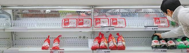 닭고기가 많이 없네… - 6일 서울의 한 대형마트에서 고객이 닭고기를 집어들고 있다. 지난해 11월 발생한 고병원성 조류인플루엔자로 살처분된 닭과 오리가 늘면서 산지 가격이 오르고 있다. 한국농수산식품유통공사(aT)에 따르면 올해 닭고기(1㎏) 소비자 가격은 지난해 대비 8.3％, 계란(30개) 가격은 11.4％ 올랐다. /뉴시스