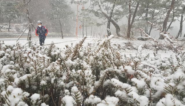 2020년 12월 13일 충북 제천시 의림지 둘레길을 한 주민이 눈발 속으로 달리고 있다. 연합뉴스
