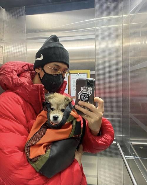 이기우가 유기견을 입양했다. 사진=이기우 인스타그램