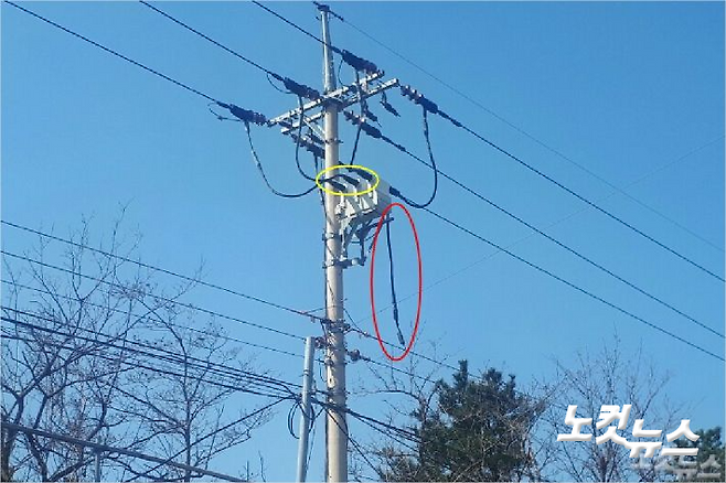 지난 2019년 4월 발생한 산불의 발화점으로 추정되는 곳으로, 빨간색으로 표시된 것이 떨어져 나간 '리드선'이다. 유선희 기자