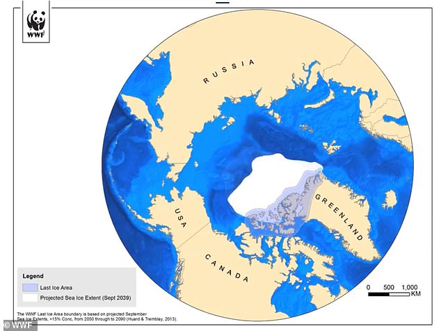 아치형 해빙은 가로 길이 38㎞, 세로 길이 598㎞인 네어스 해협의 북쪽과 남쪽 끝에서 일반적으로 발달하며 마지막 해빙 지대를 유지하는 데 중대한 역할을 한다.(사진=WWF)