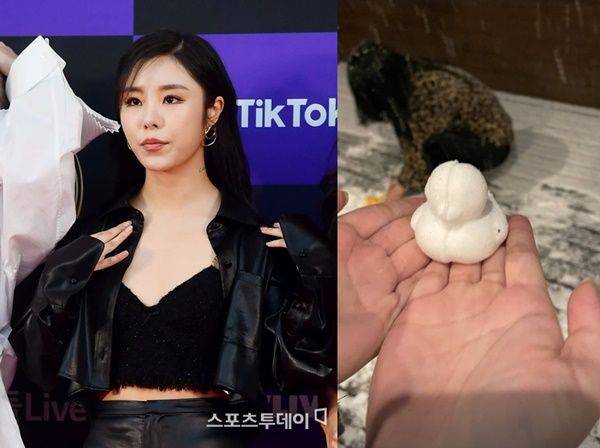 휘인 오리 눈사람 눈오리 오리 눈집게 / 사진=휘인 SNS