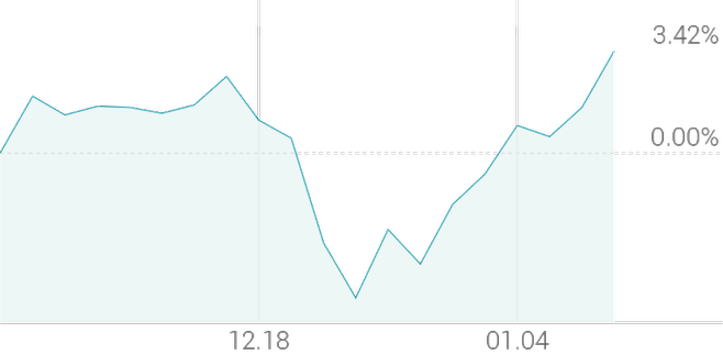 1개월 등락률 +2.46%