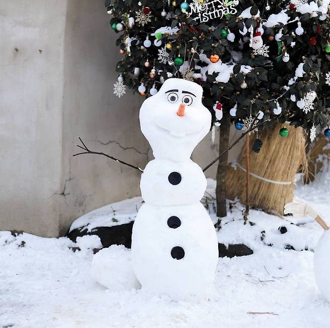 Snow Olaf (Instagram account, iamjayoung)