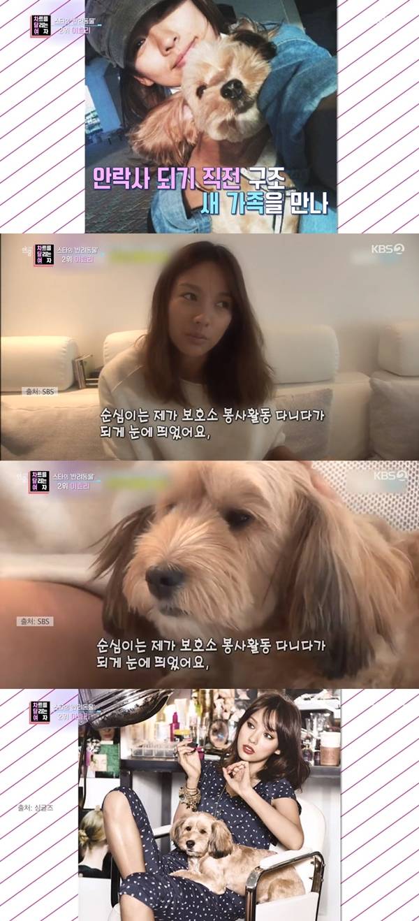 이효리 / 사진=KBS2 연중 라이브