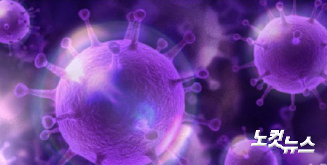 그래픽=김성기 기자