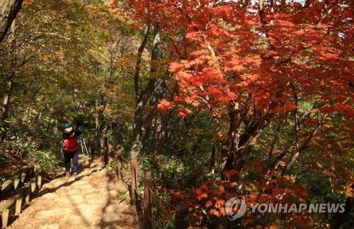 속리산 둘레길 [연합뉴스 자료사진]