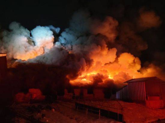 10일 오후 7시 31분께 전남 신안군 한 축사에서 불이났다. 사진은 화재 현장 모습. 사진=전남소방본부 제공