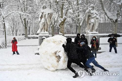 대형 눈사람 만드는 스페인 청년들 (마드리드=AFP 연합뉴스) 9일(현지시간) 스페인 마드리드에서 청년들이 커다란 눈덩이를 굴리고 있는 모습. 2021.1.9