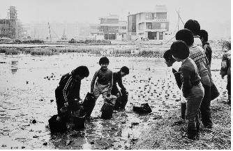 김기찬 작품 '송파구 석촌동, 1981년 11월 29일' [서울시 제공. 재판매 및 DB 금지]