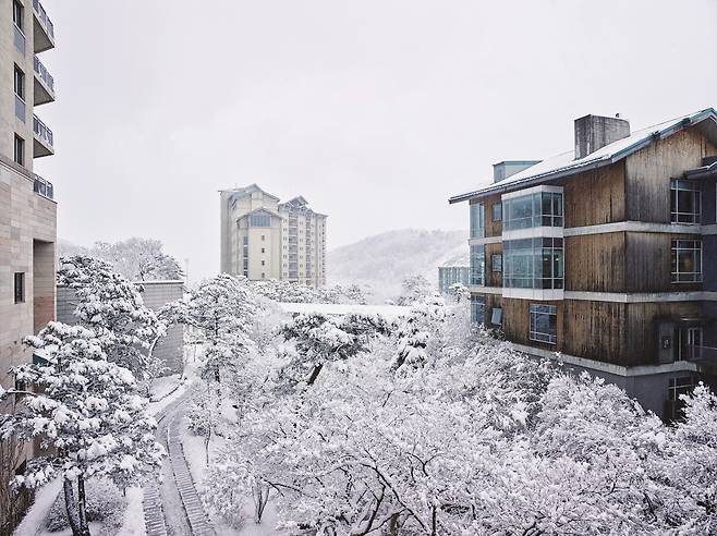 곤지암리조트의 겨울 설경