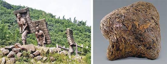 (좌) 티베트로 가는 길은 험해서 말이나 사람이 차를 지고 운송했다. (우)원난성에서 만들어 티베트에 수출됐던 버섯 모양의 차(긴차).