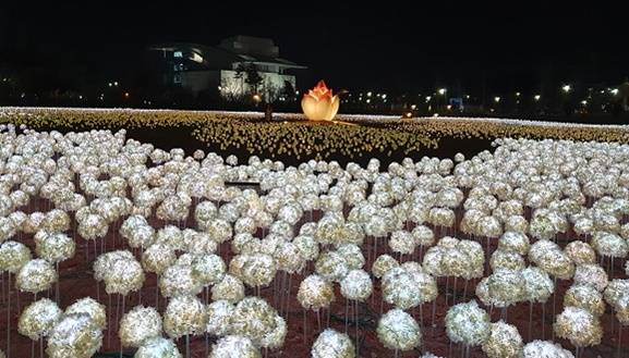 빛누리 정원/사진=세강LED