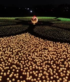 빛누리 정원사진=세강LED