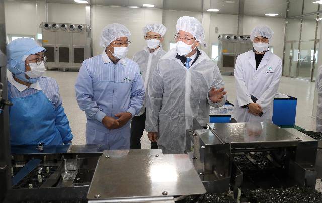 김영록 전라남도지사(사진 오른쪽에서 2번째)가 11일 목포시 대양산업단지에 위치한 대상(주) 해조류연구센터를 방문 현장 소통 간담회를 마치고 김 가공공장인 ㈜정풍 조미김 가공 공정을 둘러보고 있다./전남도