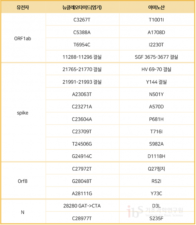 B117 계열에 존재하는 아미노산 치환 및 결실 돌연변이. 출처 Rambaut et al., CoG-UK 2020