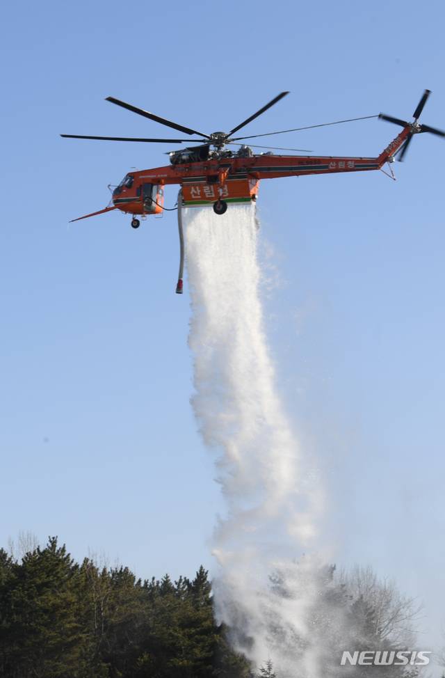 (사진=산림청 제공)