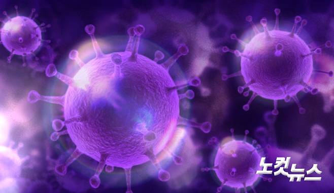 그래픽=김성기 기자